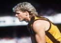 , AFL Legends